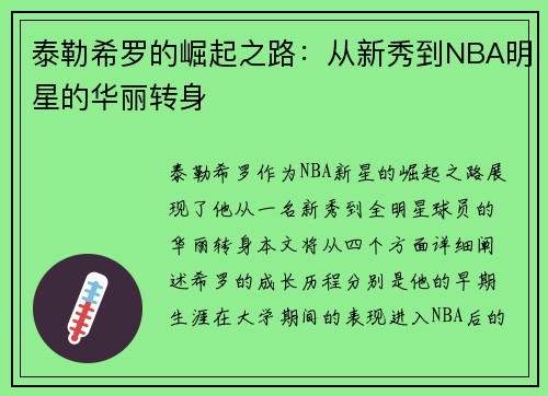 泰勒希罗的崛起之路：从新秀到NBA明星的华丽转身
